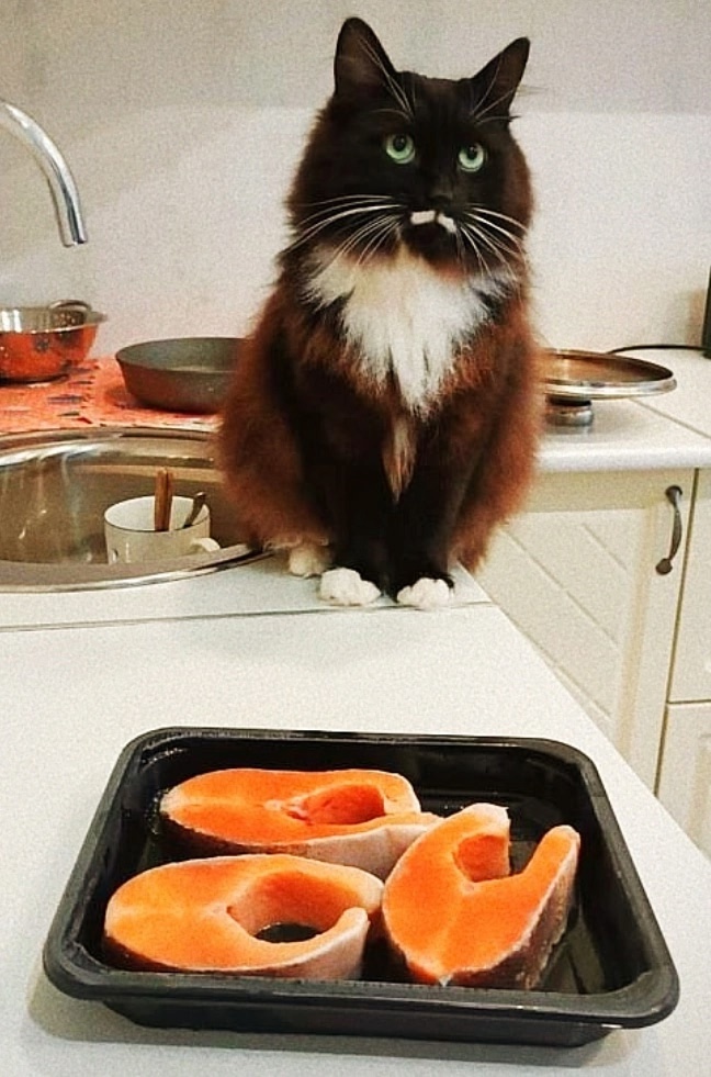 иллюстрация из яндекс картинки.