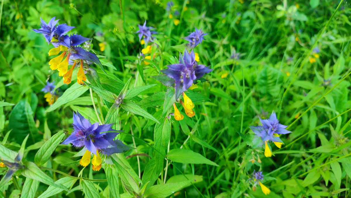 Фотографии с прогулки