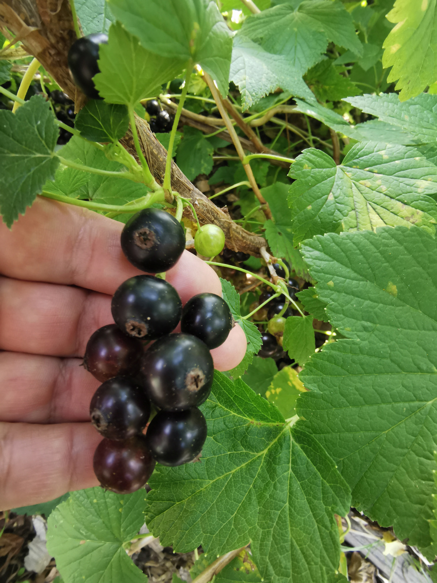 Селеченская 2, 2024 г.