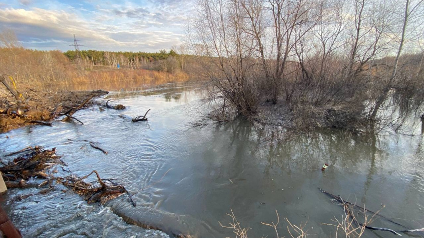    Фото: ИЗВЕСТИЯ/
