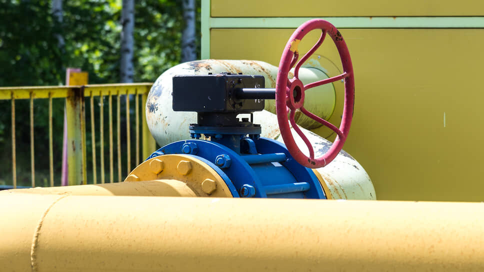 Фото: Олег Харсеев / Коммерсантъ