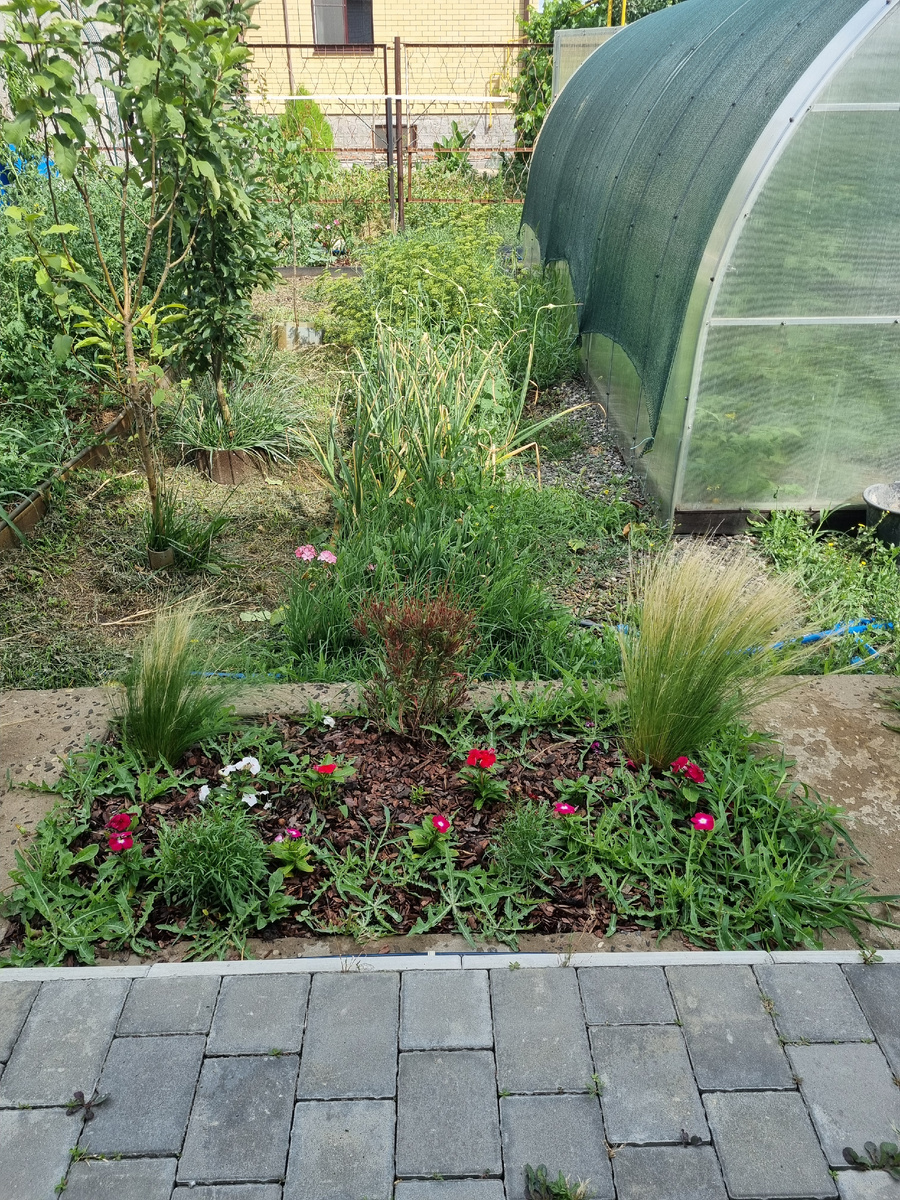 Это не клумба, а слезы... Фото: Зеленая леди, сад, семья и томатный сок 