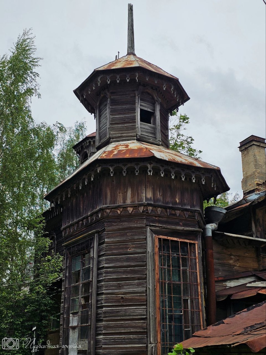 Фото: Парадная гостья