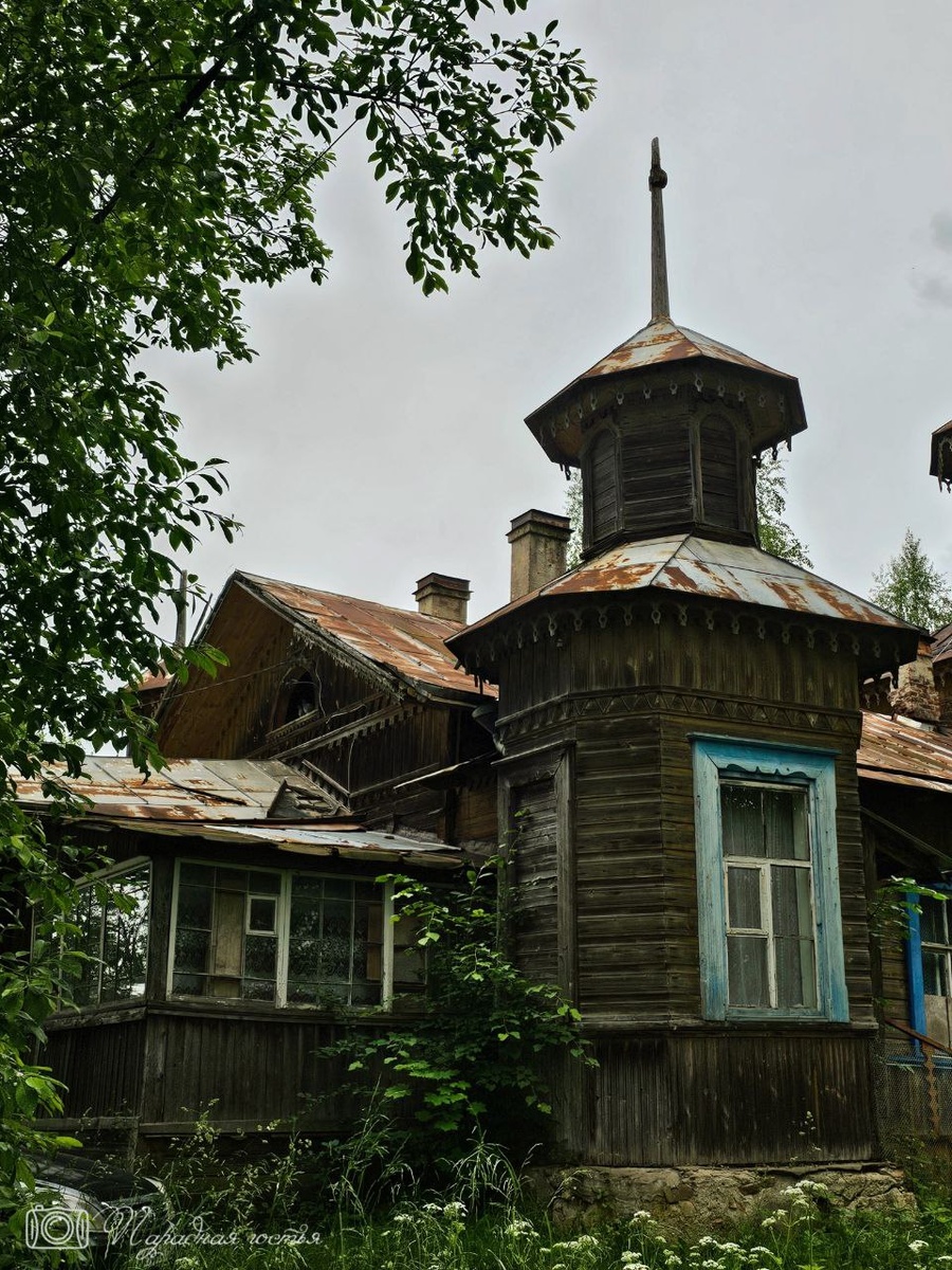 Фото: Парадная гостья