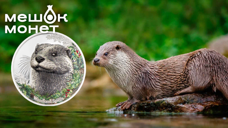    Обложка статьи