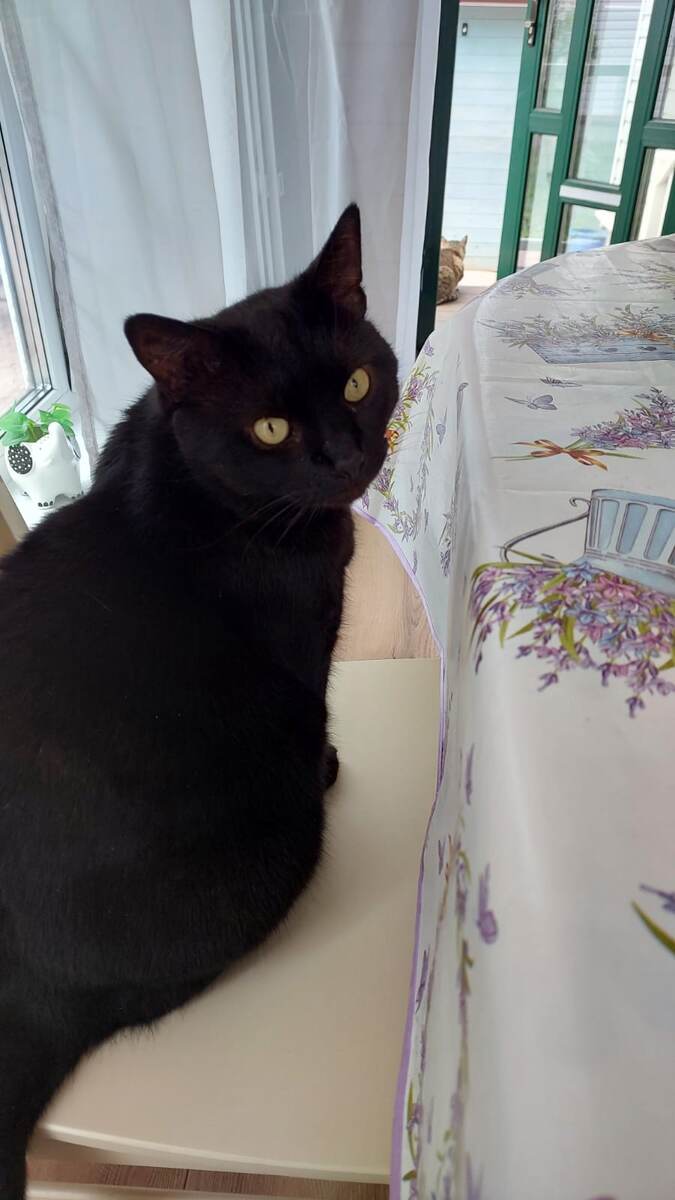 Миша. Фотография из личного архива. 