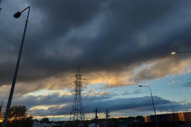    Фото: АиФ/ Елизавета Миронова