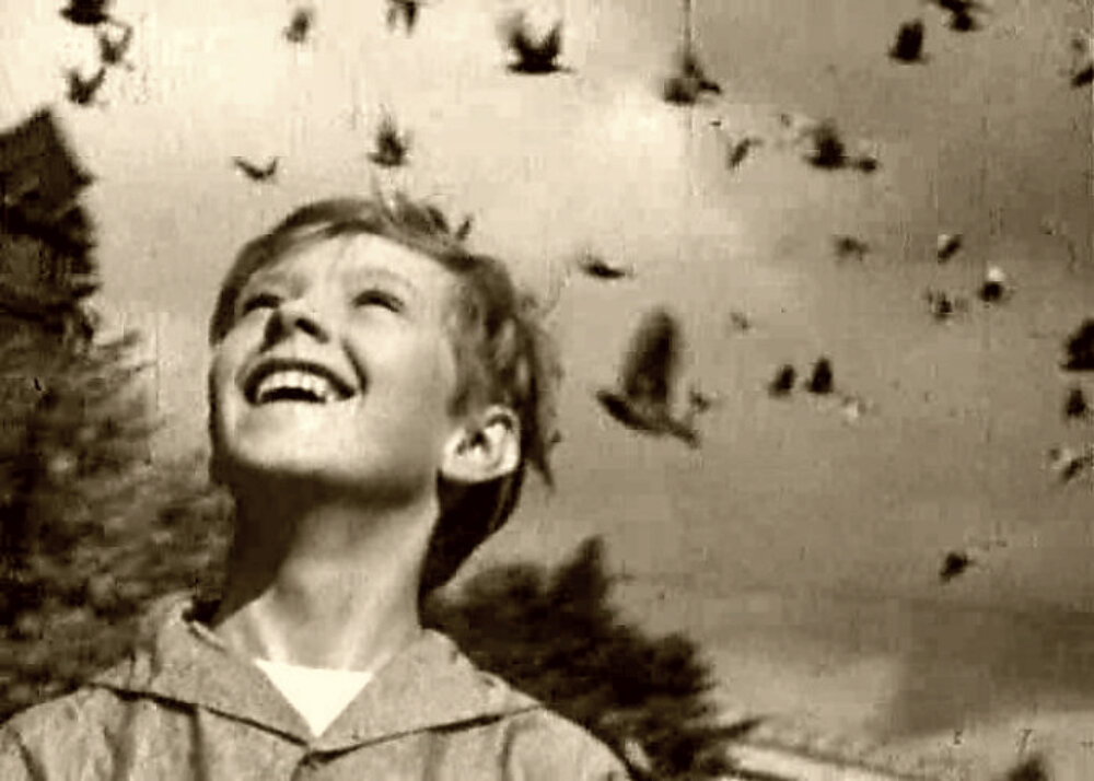 Кадр из фильма "Мальчик и голубь".