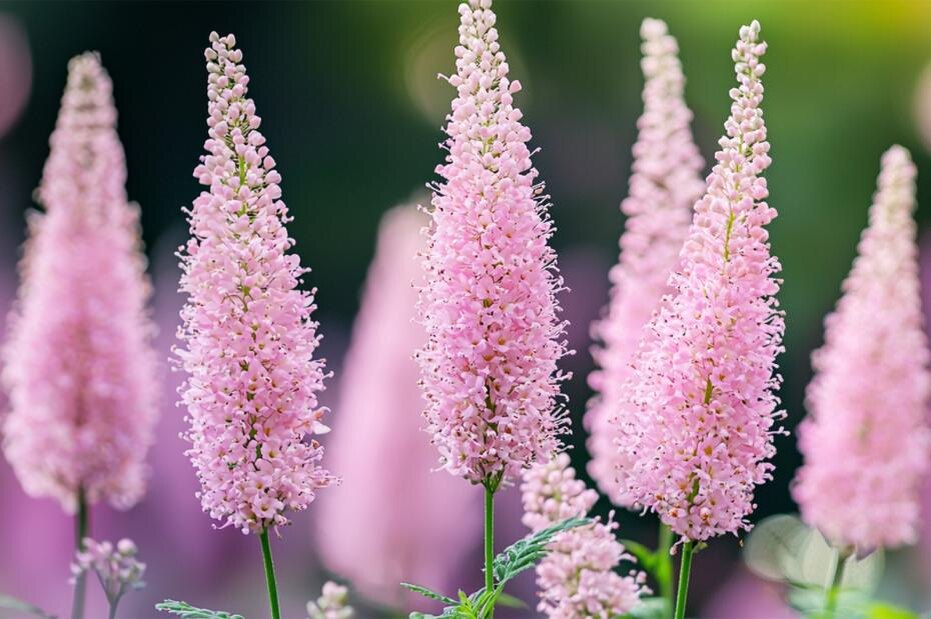    Сгенерировано в Midjourney/NEWS.ru