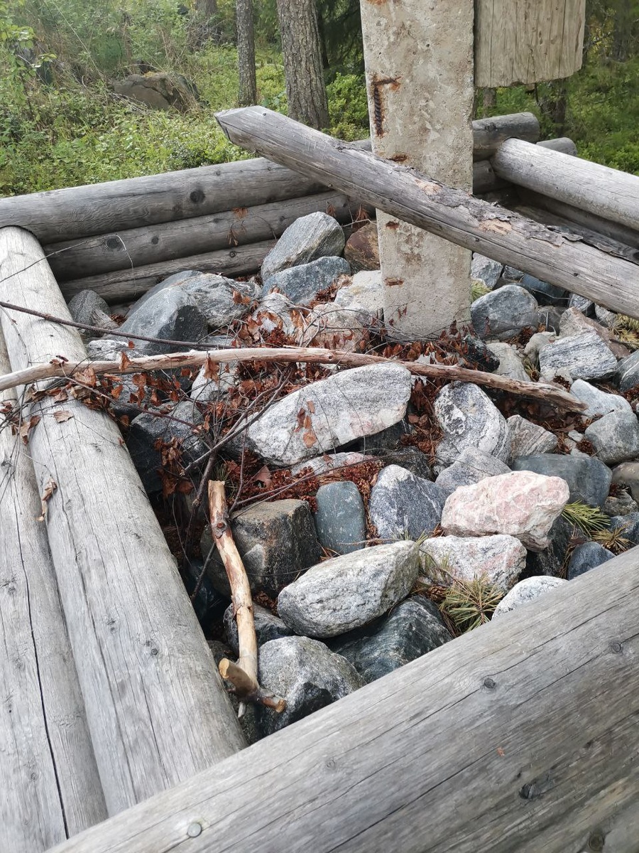 Очищенные шишки у фонарного столба
Белое море, 2025 г.
Автор: Кузнецова Эльза