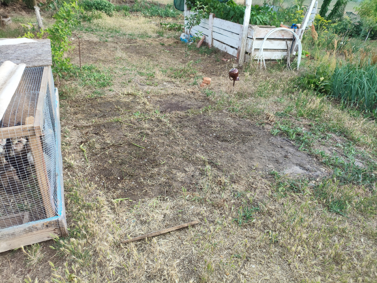 Места обитания утей )) 