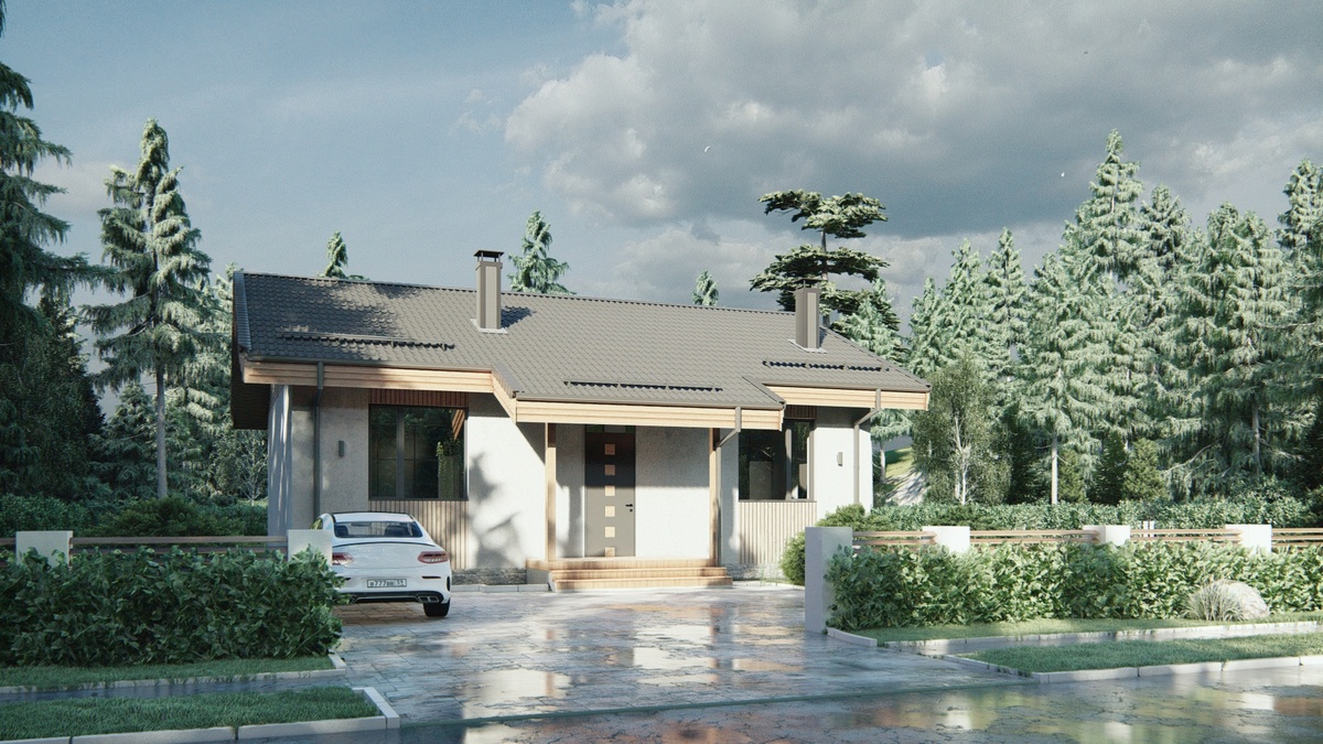 Перспектива Вид 1