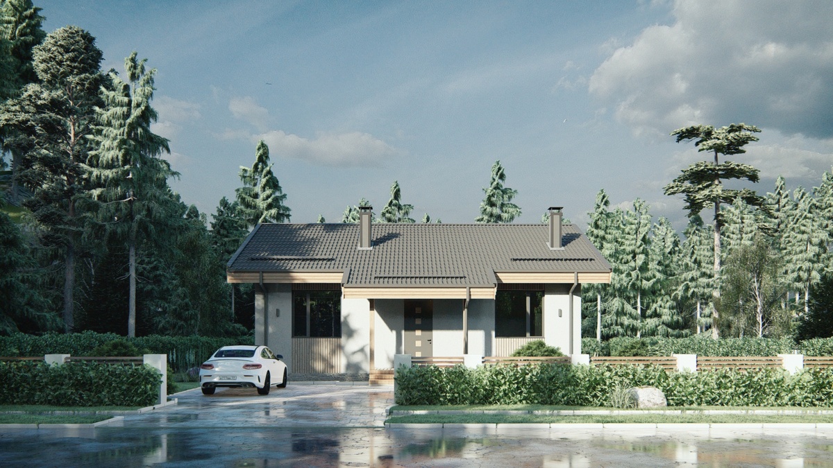 Перспектива Вид 2