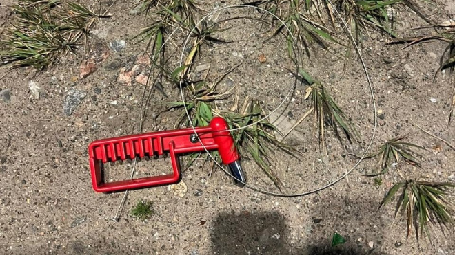 Фото: ГУ Росгвардии по Петербургу и Ленобласти