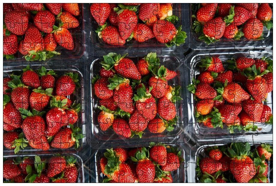 Коварные ягоды.