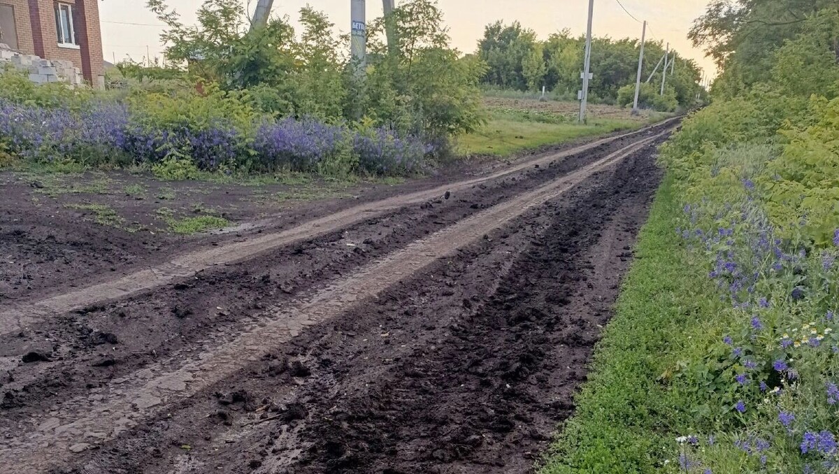     Источник: bel.ru