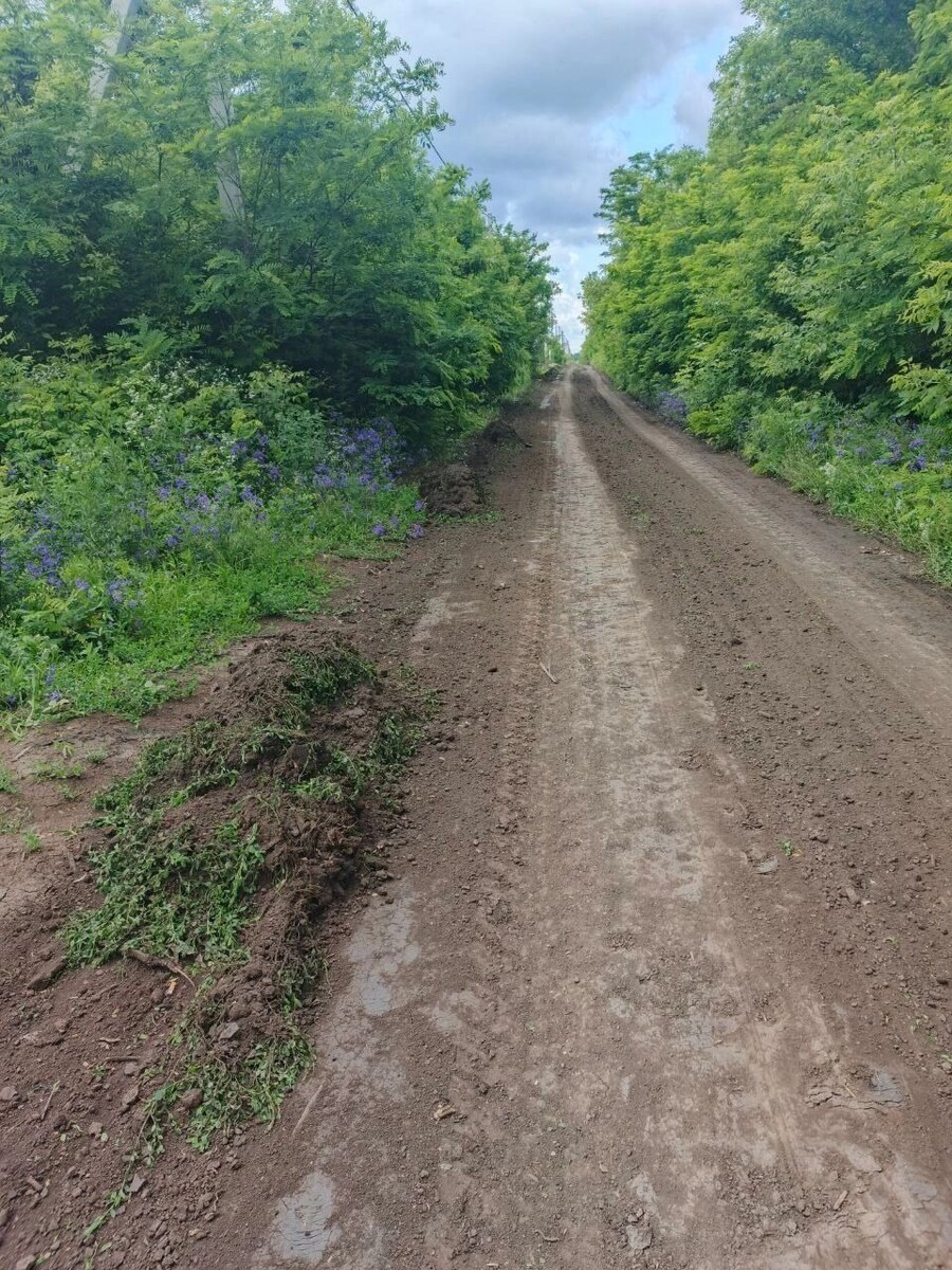       Источник: bel.ru