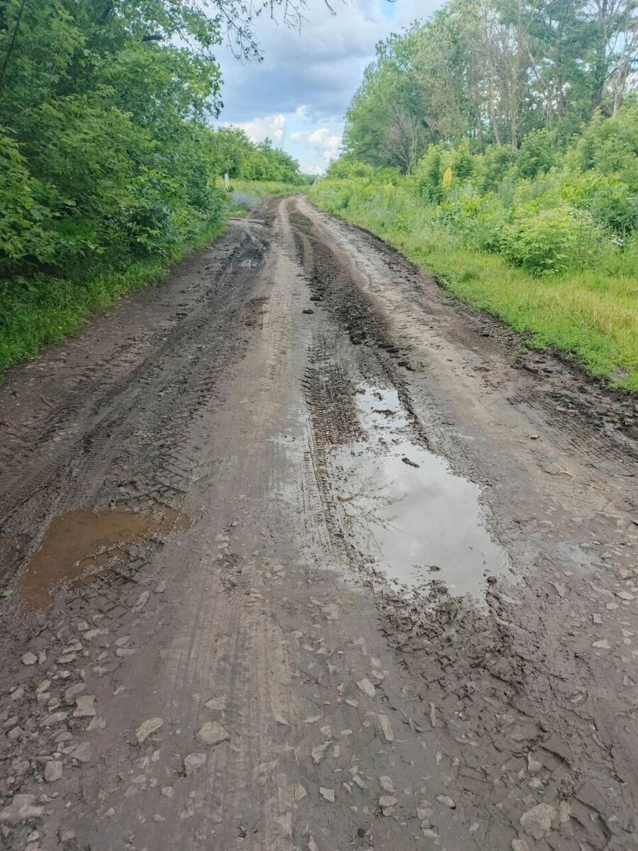       Источник: bel.ru