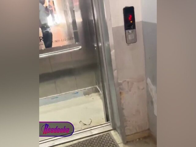    Фото: телеграм-канал Readovka