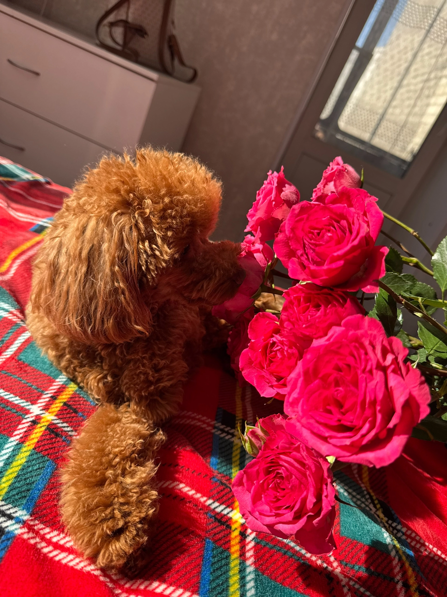 А еще безумно красивый 