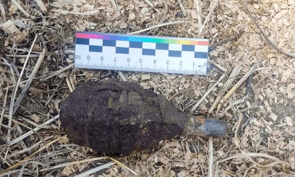    Фото t.me/rosgvard_krasnodar