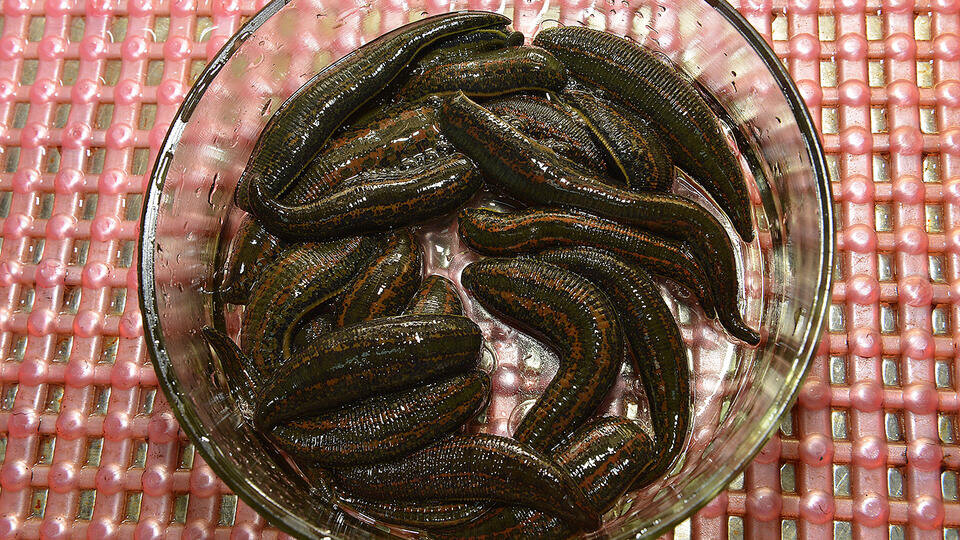 Фото: © Юрий Машков/ТАСС