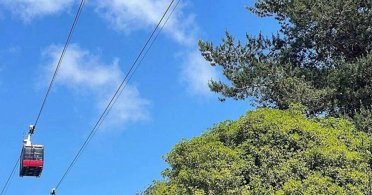 Фото: нацпарк Сочи