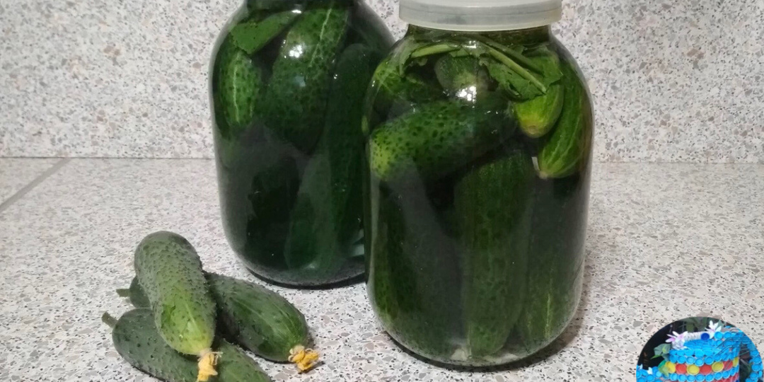 Засолка огурцов холодным способом. Проще и лучше рецепта нет.