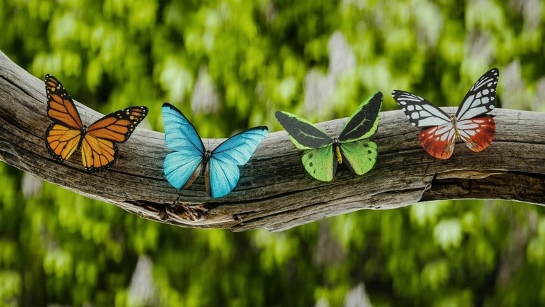    Жителей Петрозаводска просят выбрать талисман летнего фестиваля "Фонтаны""Трасса Фонтаны Петрозаводск" / VK