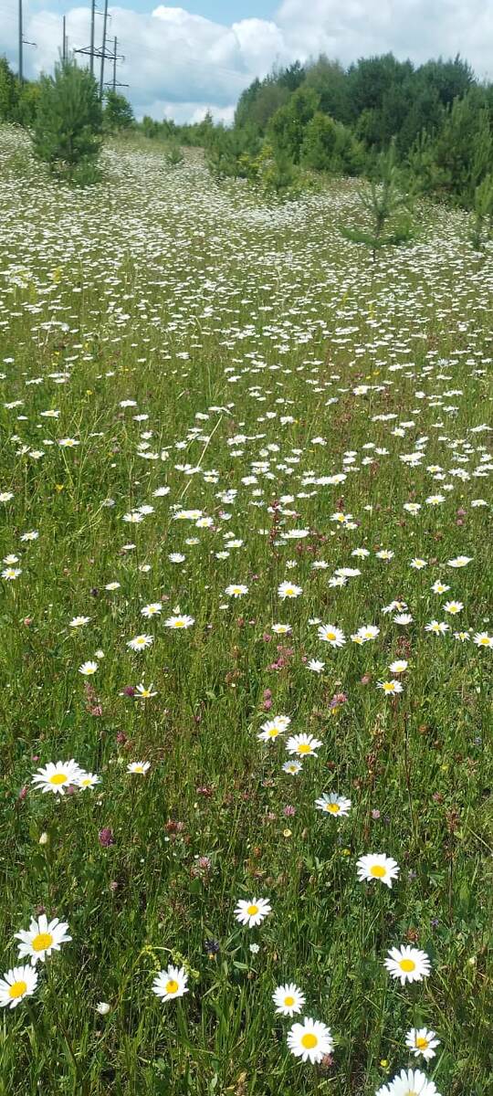 Фото моих друзей