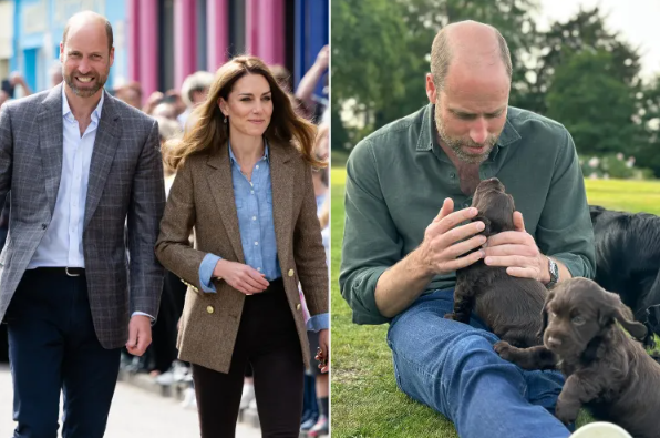 Кейт Миддлтон и принц Уильям раскрыли планы по поводу своих щенков