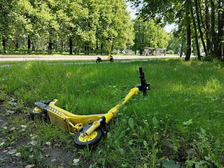     Фото: МК в Питере