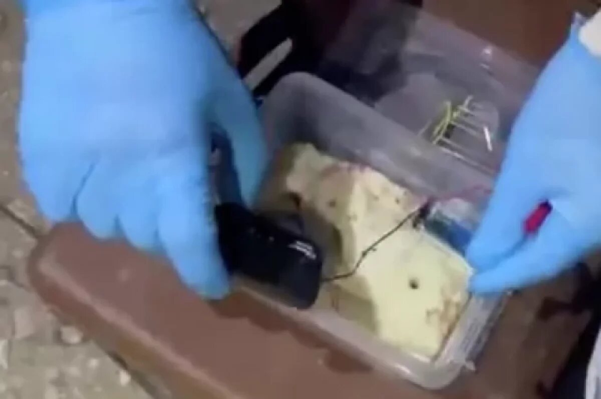    Боец Фет: изъятую в Подмосковье у диверсантов бомбу делали непрофессионалы