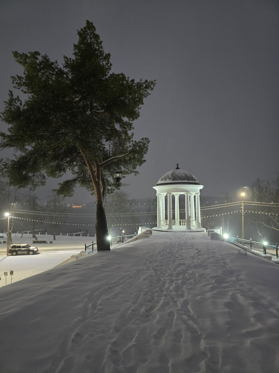 Сосна с беседкой