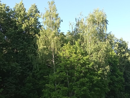 Фотография из личного архива автора