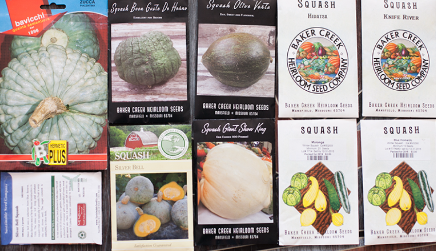 Фото - не мое: https://pumpkin-garden.livejournal.com/49914.html Мои фото того времени не сохранились.