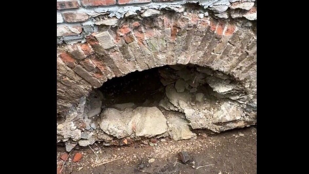    Фото: скриншот из видео Владислава Пинаева