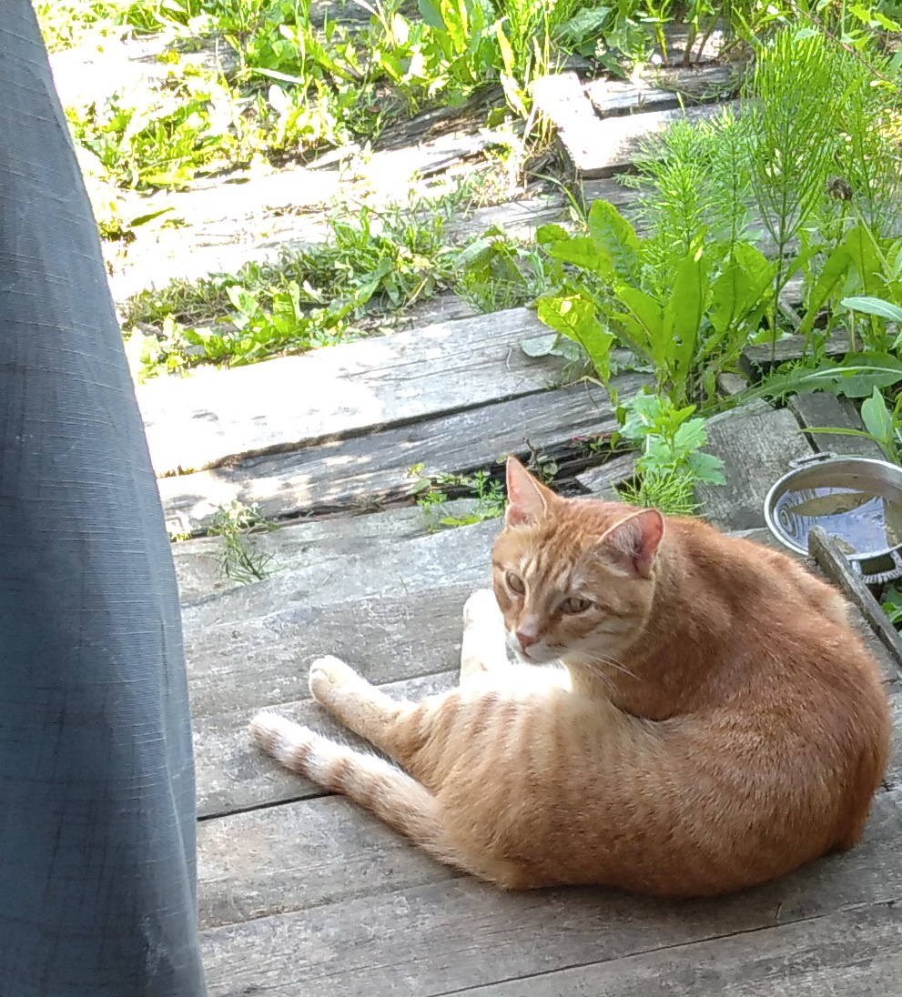 личное фото