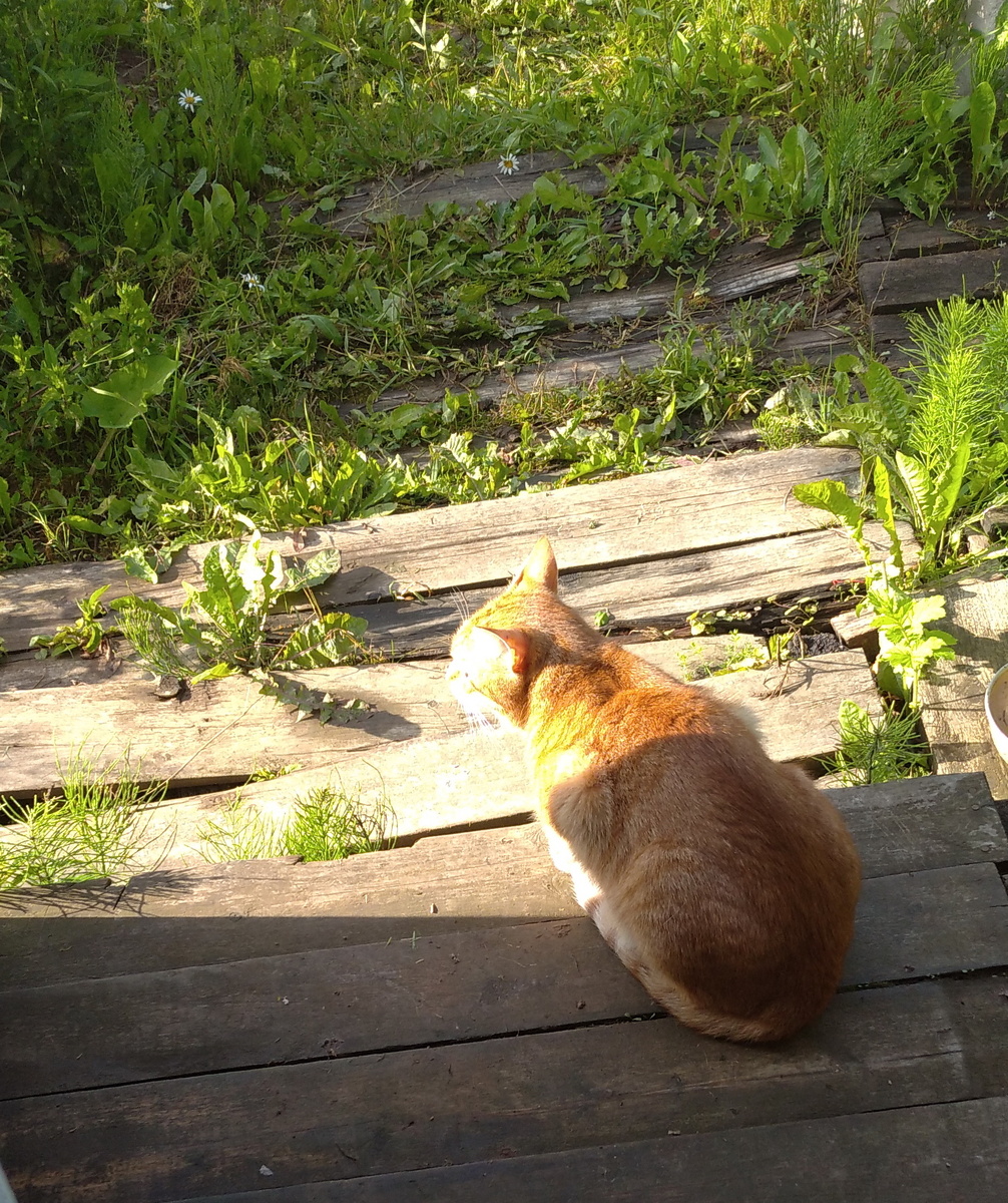 личное фото