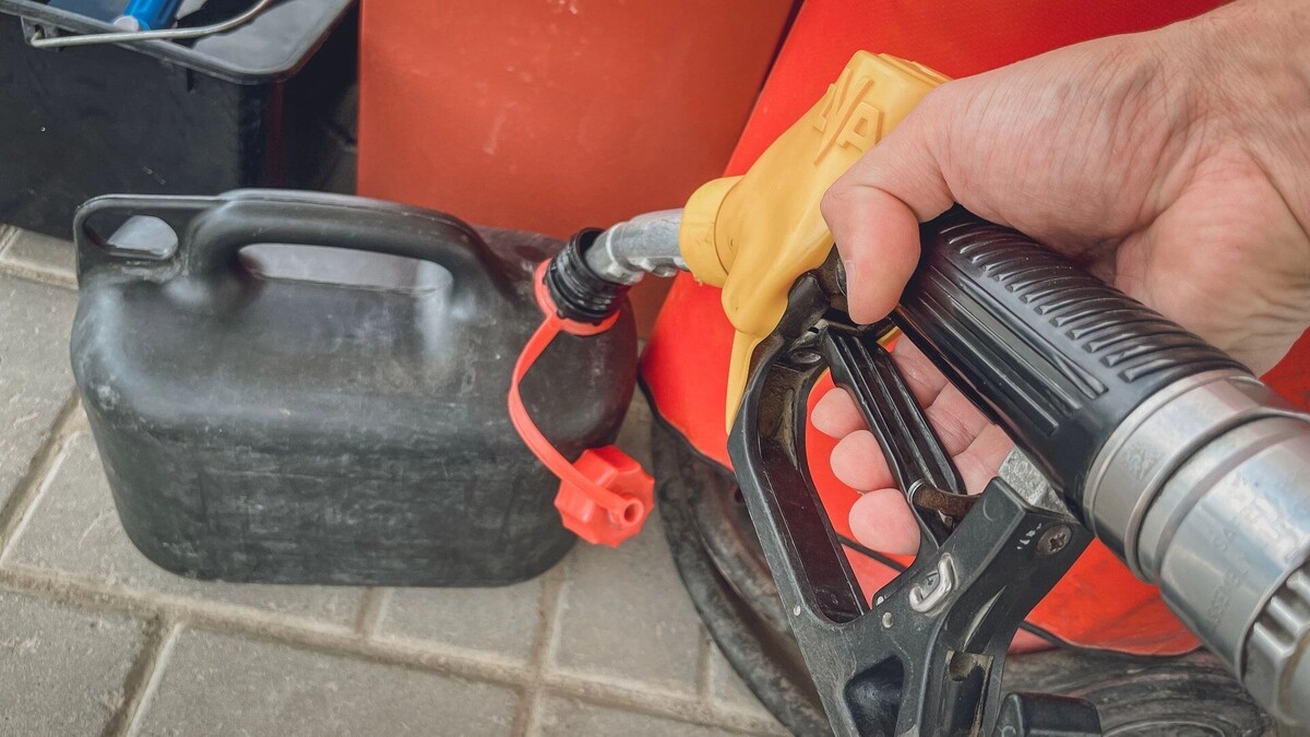     Автор: Антон Засимов Источник: novostivolgograda.ru