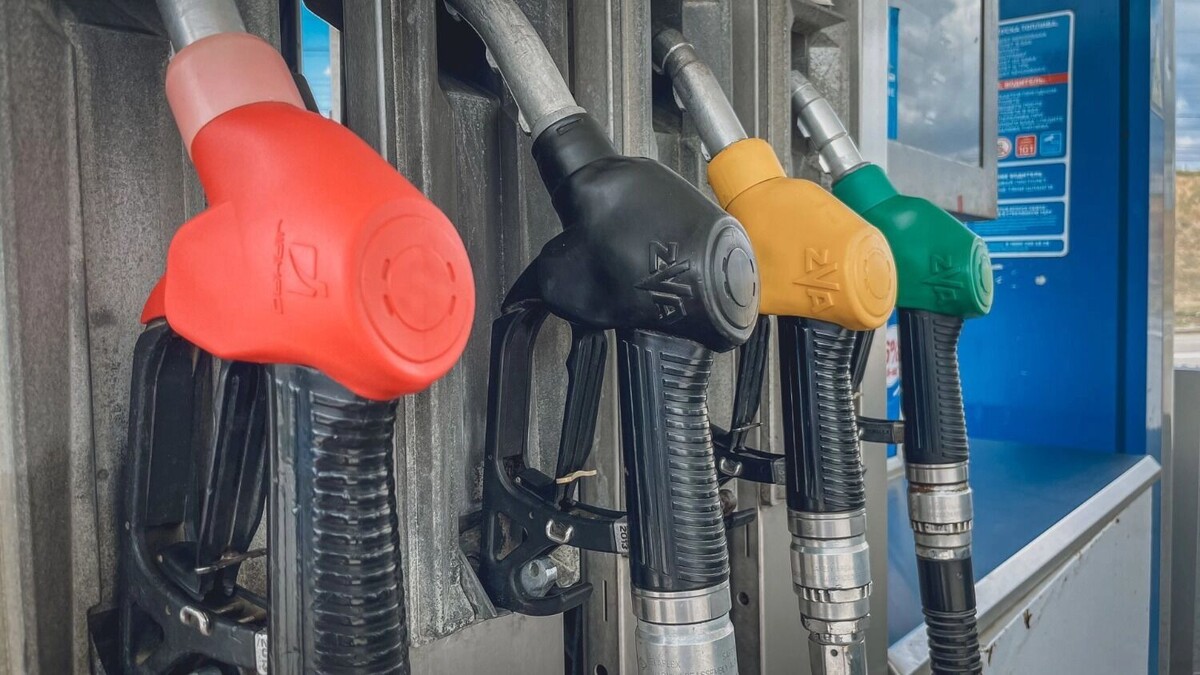     Автор: Антон Засимов Источник: novostivolgograda.ru