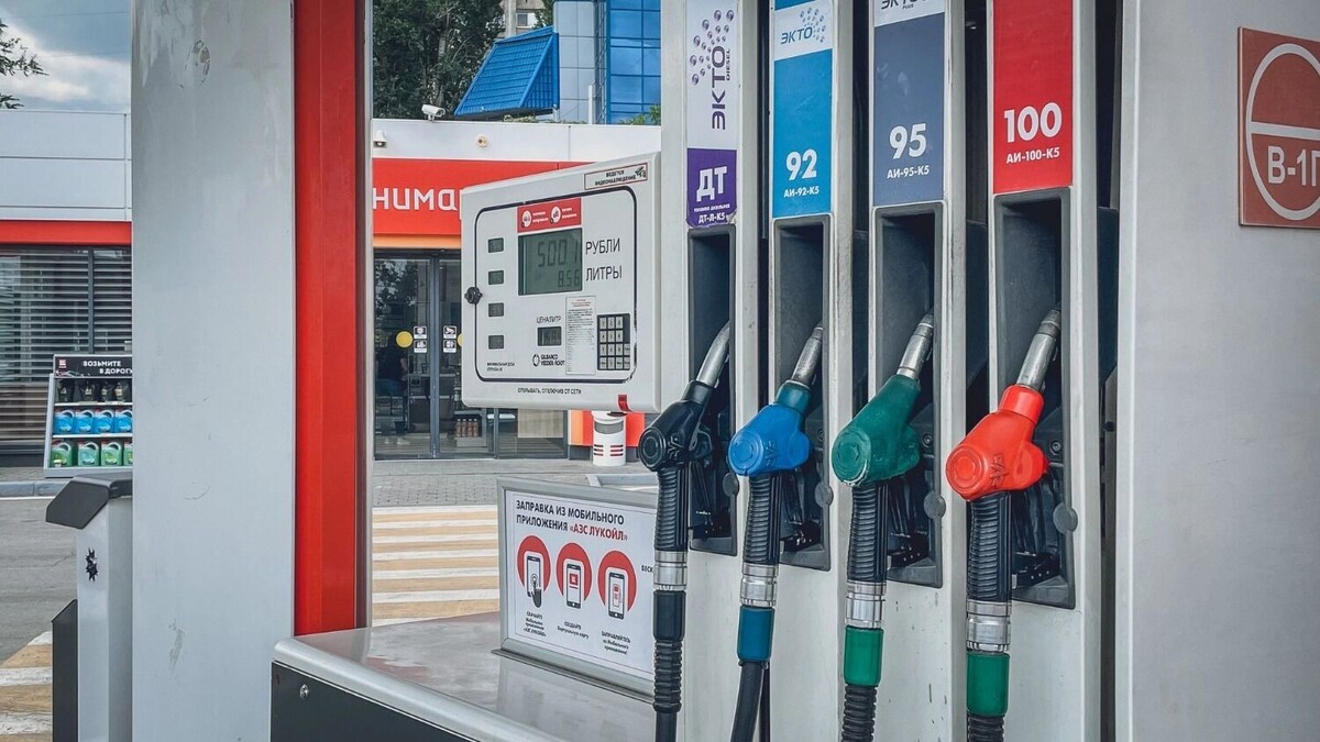     Автор: Антон Засимов Источник: novostivolgograda.ru