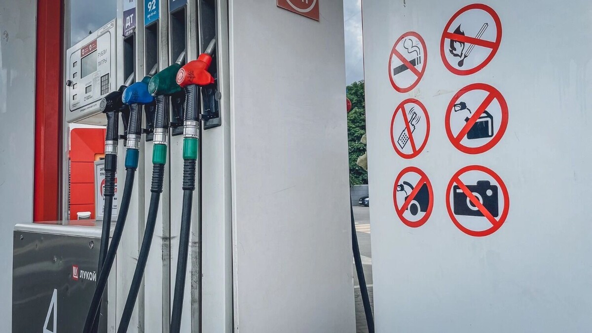     Автор: Антон Засимов Источник: novostivolgograda.ru