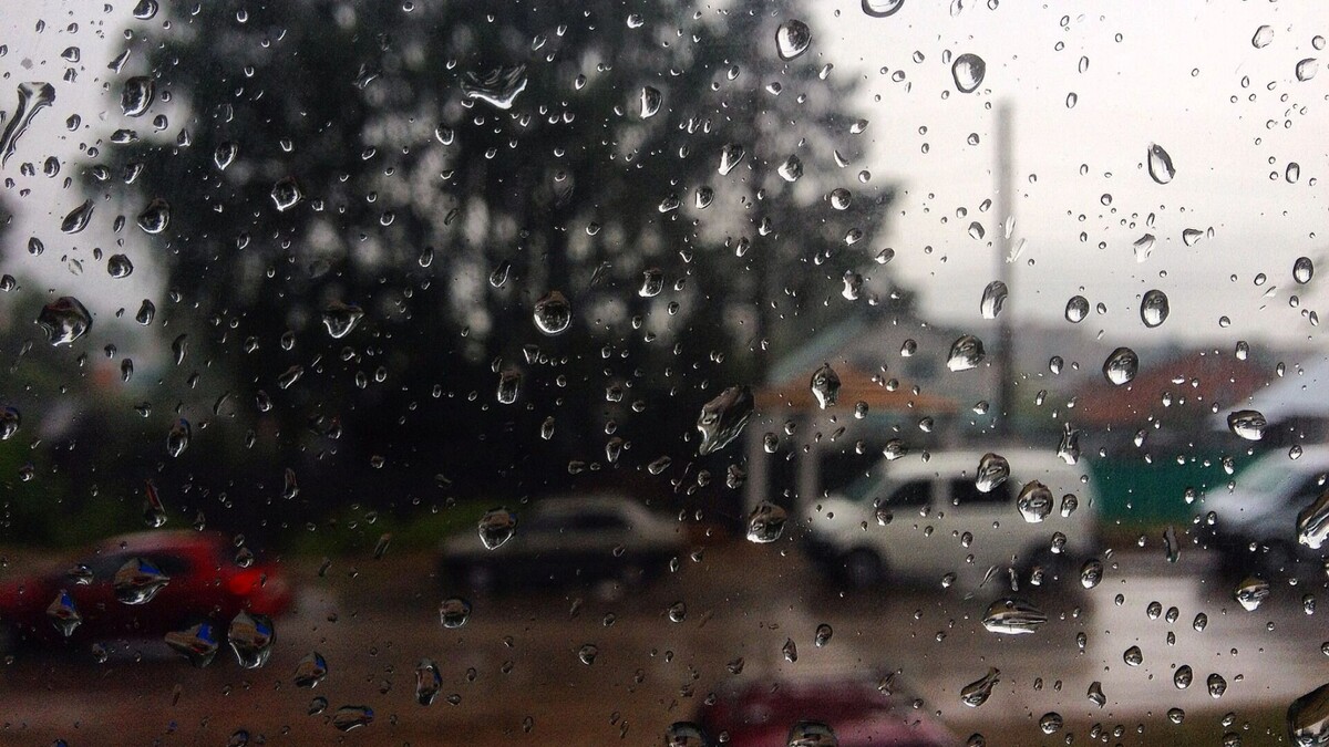     Источник: 1MI