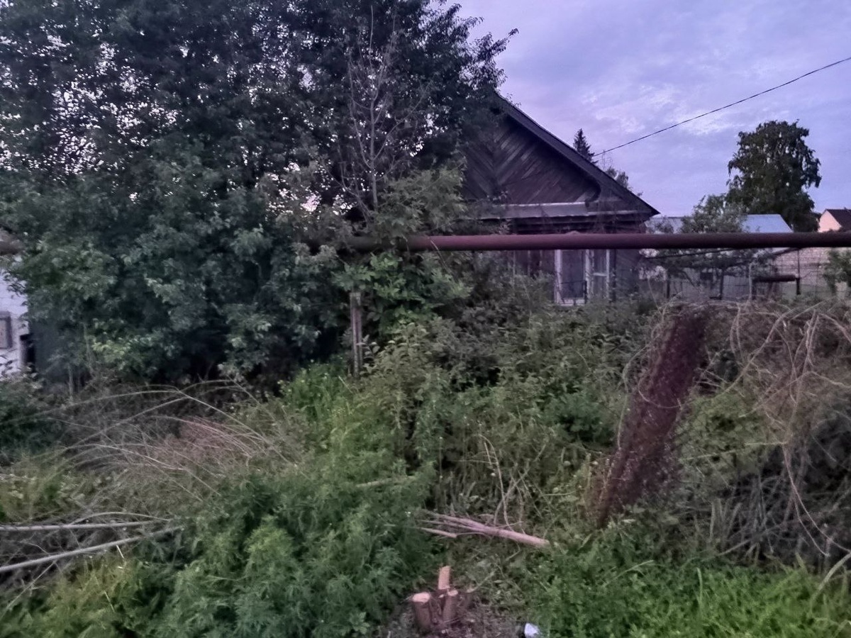  Было. И мы подзапустили, и нам мусора добавили добрые соседи. 