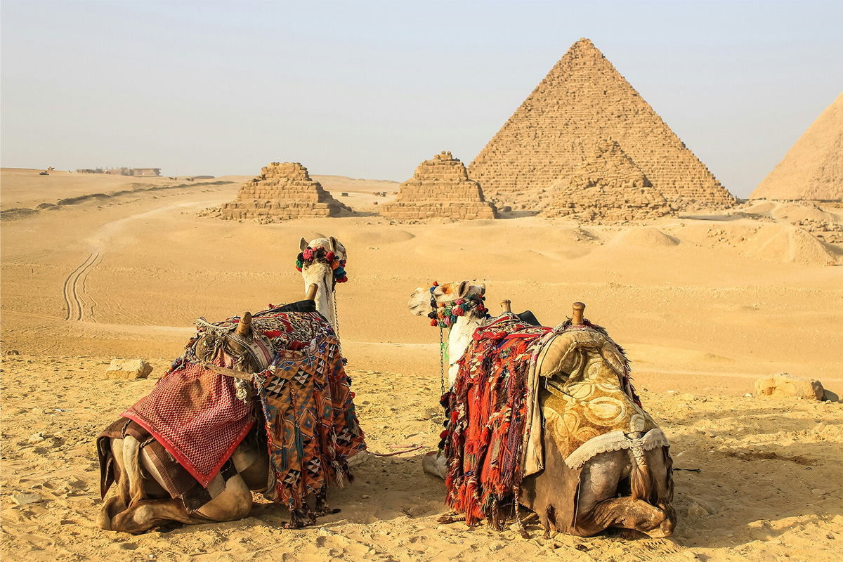 Фото: Andrés Dallimonti / Unsplash