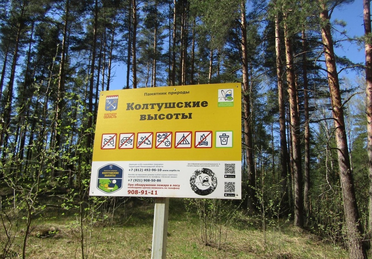 Памятник природы «Колтушские высоты»