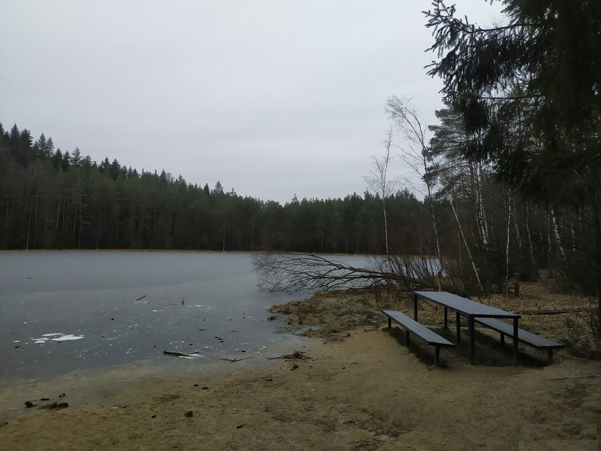 Памятник природы «Колтушские высоты»