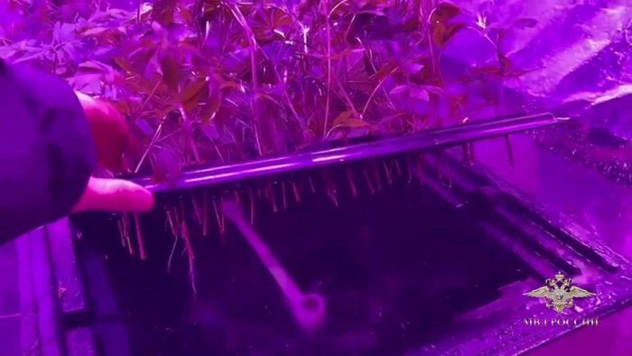 Фото МВД по Новосибирской области