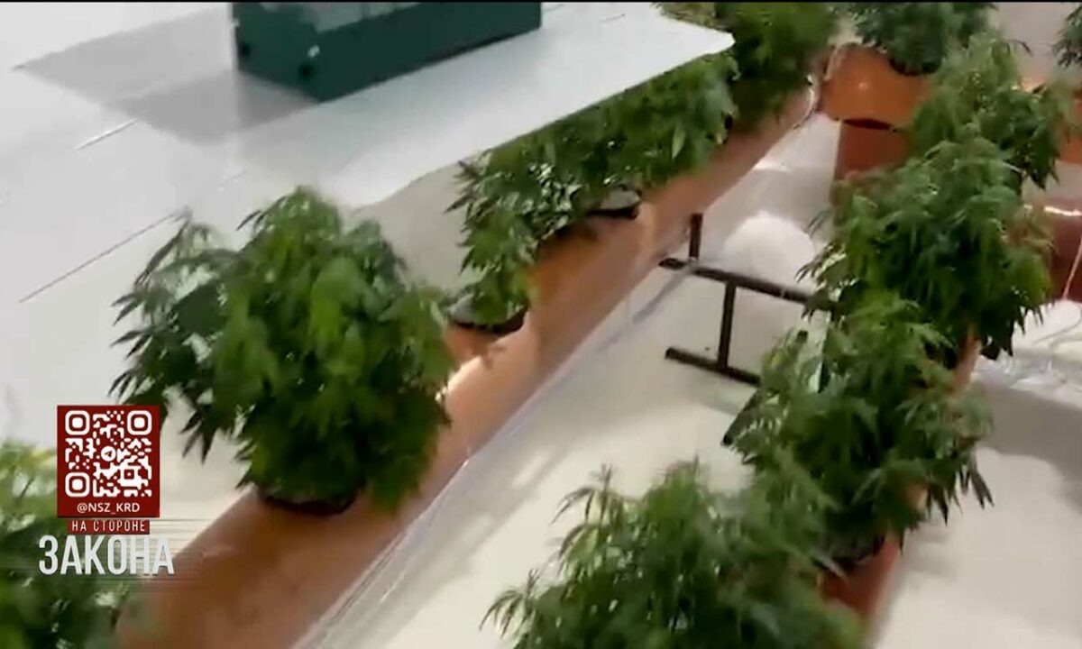    Фото пресс-службы ГУ МВД России по Краснодарскому краю